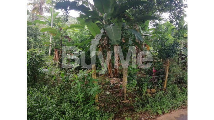 valuable-land-for-sale-in-molagoda-kegalle-big-4