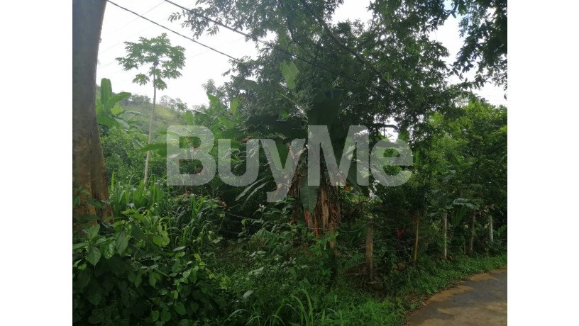 valuable-land-for-sale-in-molagoda-kegalle-big-2