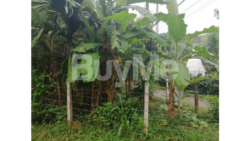 valuable-land-for-sale-in-molagoda-kegalle-big-3