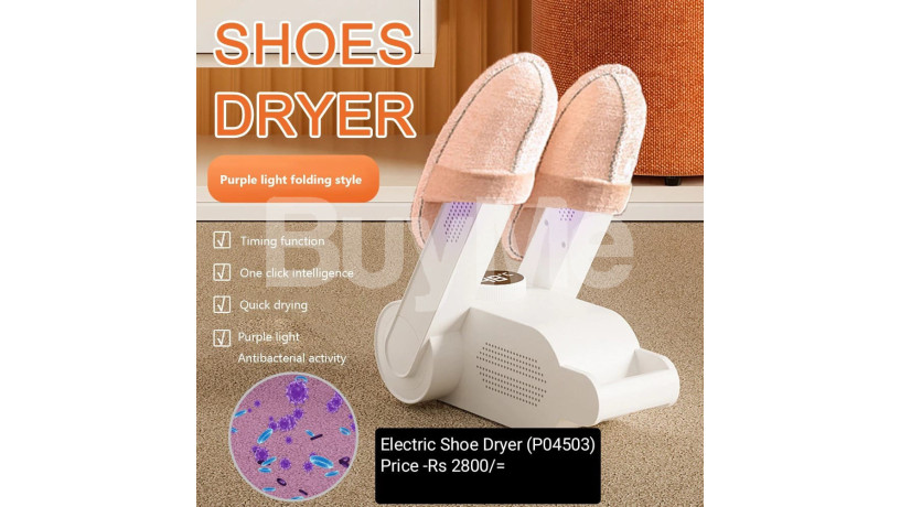 electric-shoe-dryer-big-0