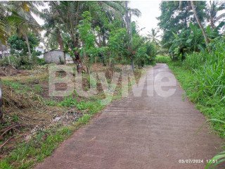 VALUABLE LAND FOR SALE IN GANEMULLA