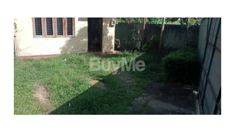 land-for-sale-wit-house-big-0