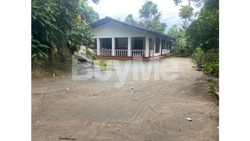 huge-land-with-house-for-sale-in-kandy-medawala-big-7