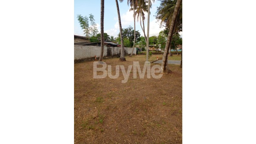 land-for-sale-in-wattala-savi-lands-big-0