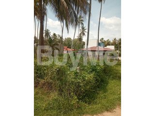 VALUABLE LAND FOR SALE IN KURUNEGALA