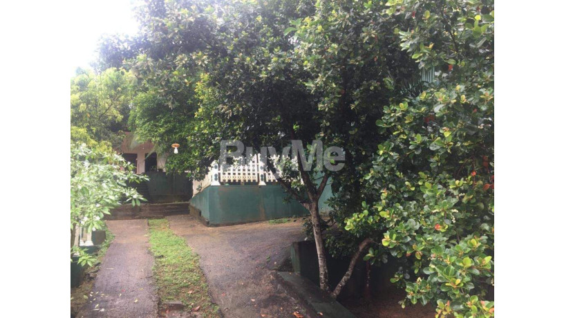 house-with-land-for-sale-in-peaceful-surroundings-in-panagamuwa-big-0