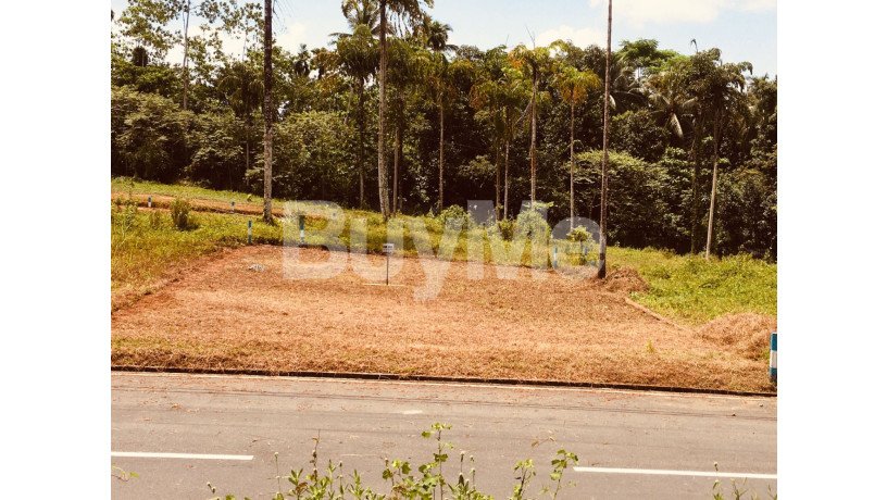 valuable-land-for-sale-in-meegoda-big-5