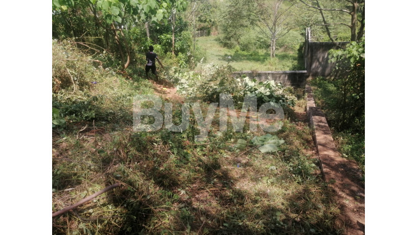 land-for-sale-in-kaduwela-near-the-slit-campus-big-3