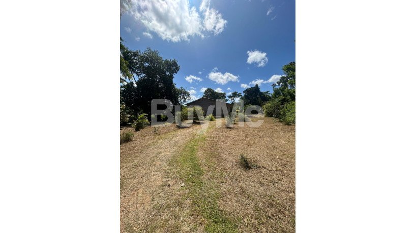 valuable-land-with-house-for-sale-in-kurunegala-big-5