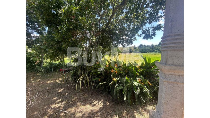 valuable-land-with-house-for-sale-in-kurunegala-big-4