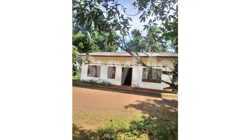 huge-peaceful-land-with-house-for-sale-in-matara-big-0