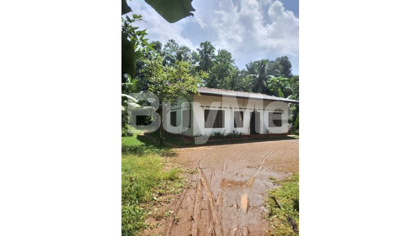 huge-peaceful-land-with-house-for-sale-in-matara-big-1