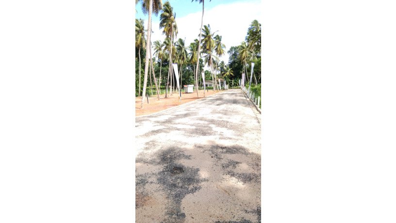 land-for-sale-in-seeduwa-golden-gate-by-savi-lands-big-0