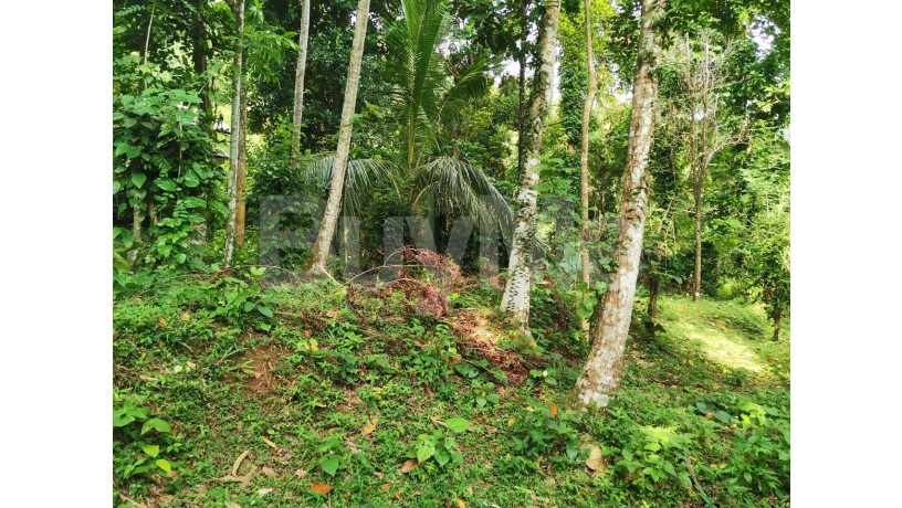 residential-land-for-sale-in-alawwa-kurunegala-big-2