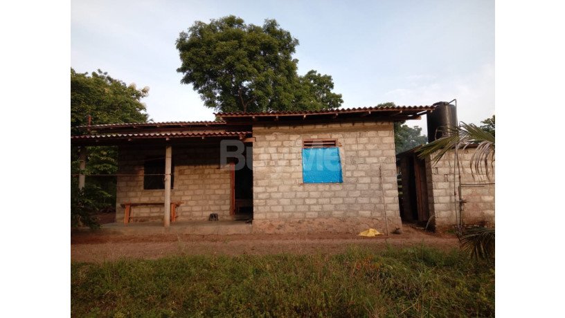 land-with-house-for-sale-kurunegala-big-3