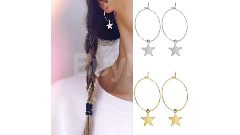 butterfly-shape-earring-big-3