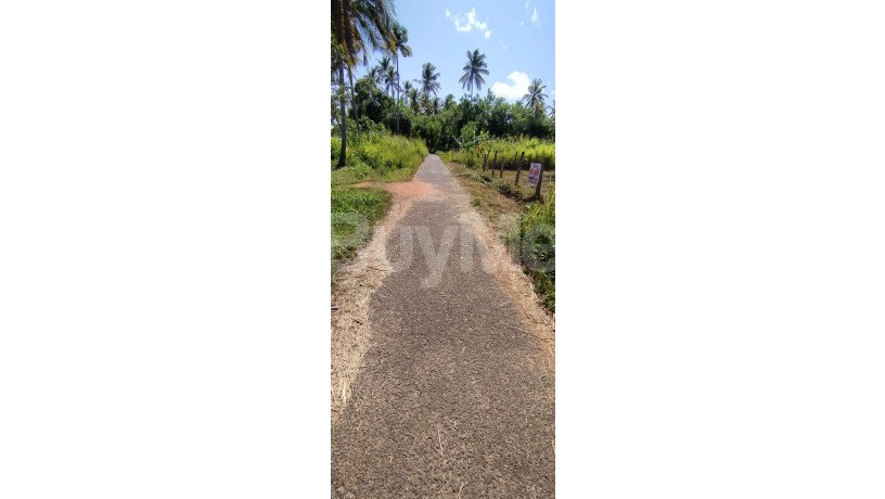 kuliyapitiya-galahitiya-15-perches-land-for-sale-big-5