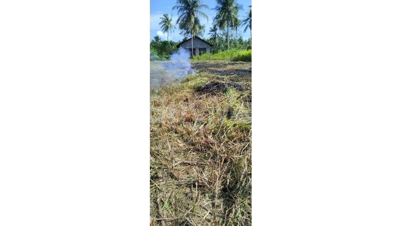 kuliyapitiya-galahitiya-15-perches-land-for-sale-big-3