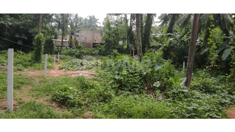 land-for-sale-in-kiriwaththuduwa-homagama-big-4