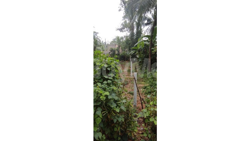 land-for-sale-in-kiriwaththuduwa-homagama-big-7