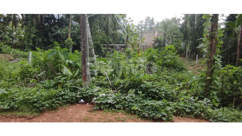 land-for-sale-in-kiriwaththuduwa-homagama-big-3