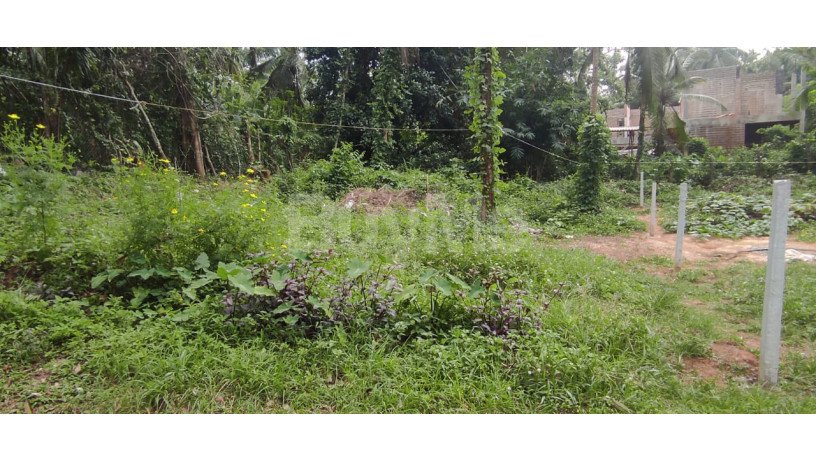 land-for-sale-in-kiriwaththuduwa-homagama-big-6