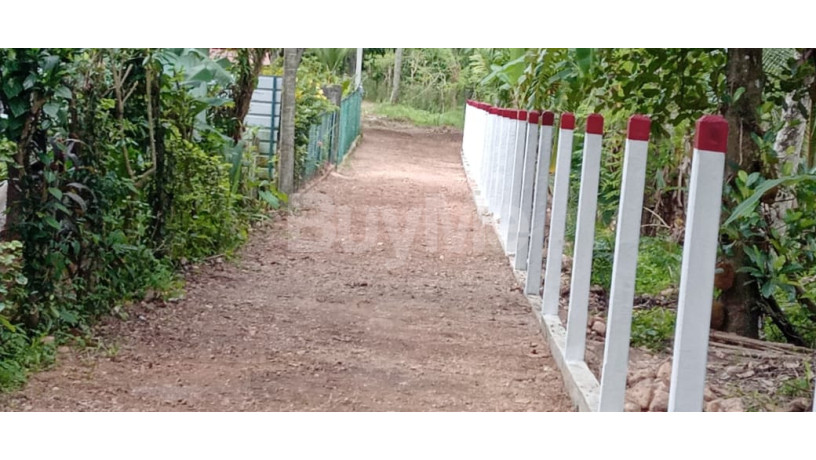 valuable-huge-land-with-beautiful-new-house-for-sale-in-kurunegala-narammala-big-6
